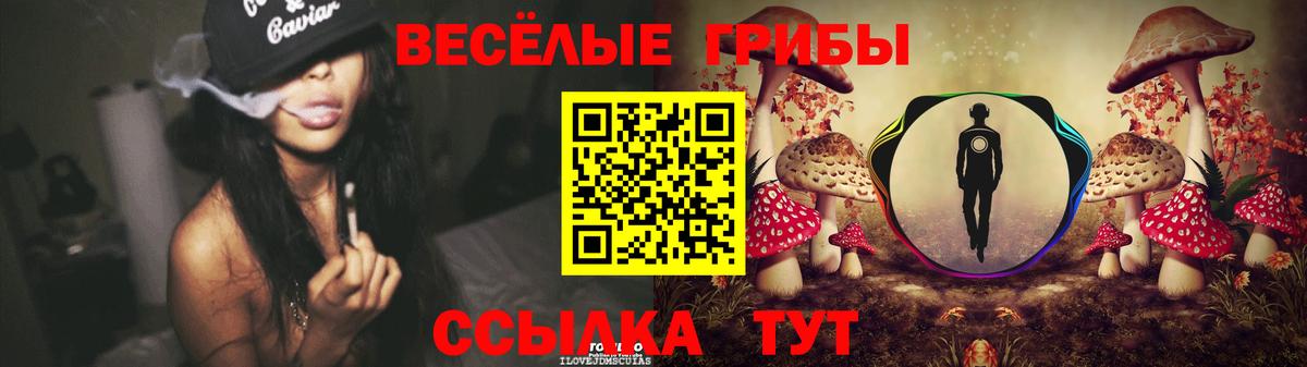 Будённовск  наркотики  Вход с VPN  Галлюциногенные грибы MAGIC MUSHROOMS 